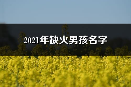 2021年缺火男孩名字