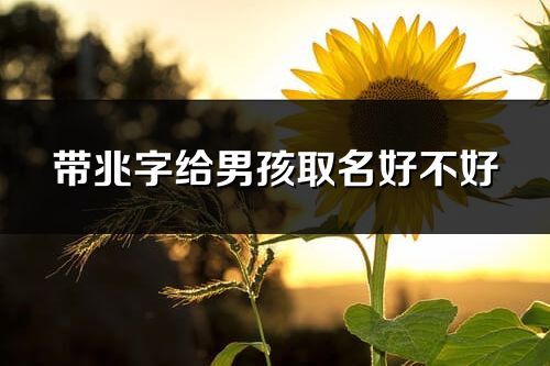 带兆字给男孩取名好不好