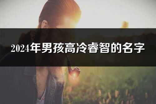 2024年男孩高冷睿智的名字