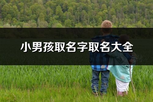 小男孩取名字取名大全