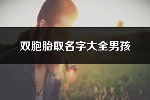 双胞胎取名字大全男孩