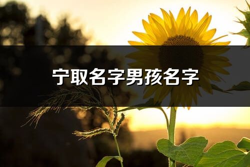 宁取名字男孩名字