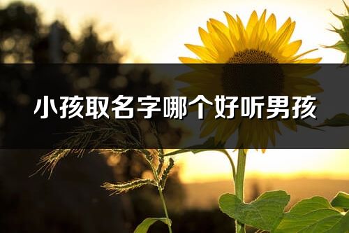 小孩取名字哪个好听男孩