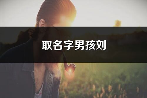 取名字男孩刘