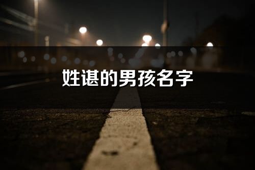 姓谌的男孩名字