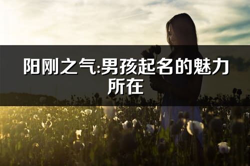 阳刚之气:男孩起名的魅力所在