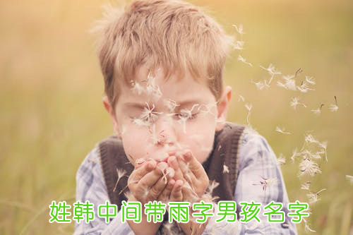 姓韩中间带雨字男孩名字