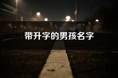 带升字的男孩名字