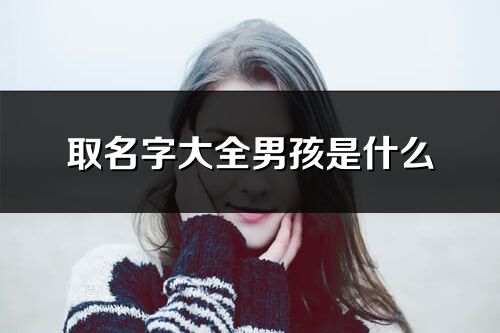 取名字大全男孩是什么