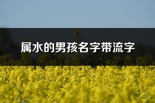 属水的男孩名字带流字