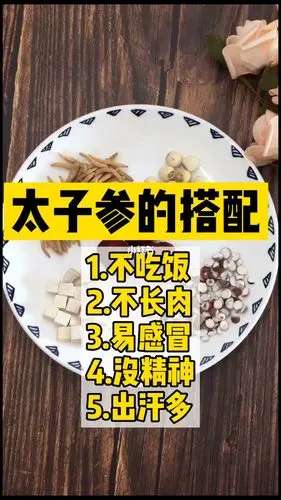 太子参怎么吃?