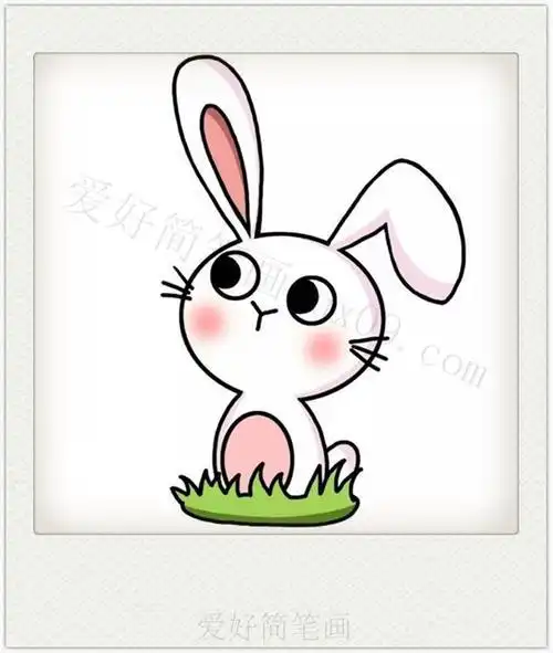 家兔外形图简笔画