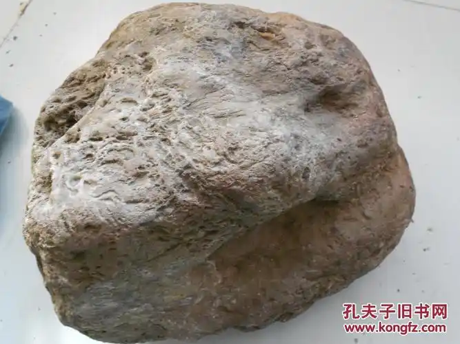 一块硅化木原石约16公斤未经任何处理