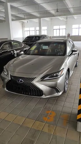 【图】南通 es300h卓越钛银水晶粽 提车作业_雷克萨斯es论坛_汽车之家