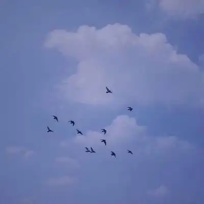 季清蓝色冷色系压抑头像背景图