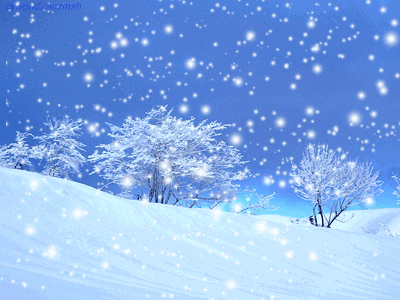 大雪:梅花一半未曾开,夜雪围炉咏絮来