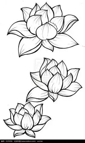 笔画手绘儿童画教程教你画荷花简笔画简笔画 黑色 莲花漂亮荷花怎么画