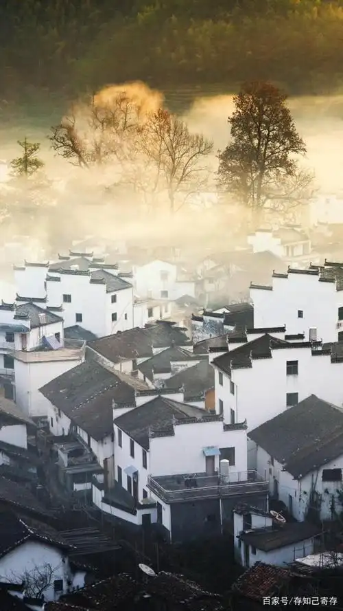 去哪里看青瓦白墙,雕镂精湛的徽派建筑?