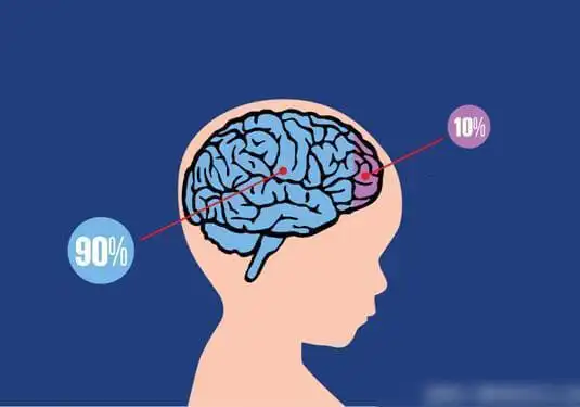 脑科学家洪兰3个方法激活孩子大脑在家就能完成简单有效