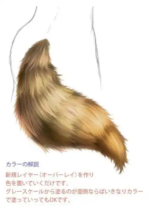 教你绘制狐狸尾巴的画法教程!