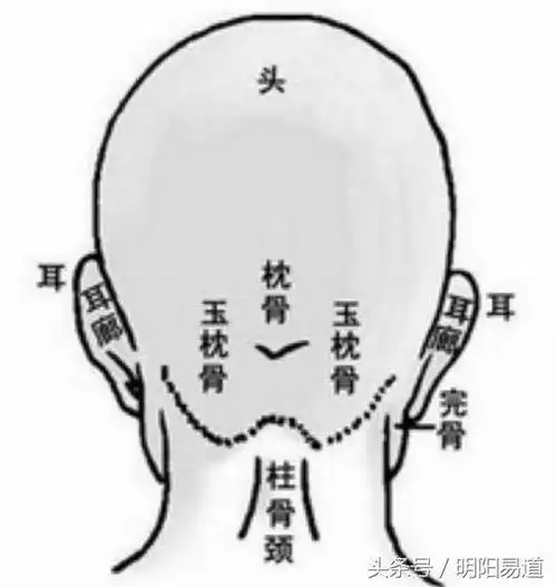 秒懂骨相从玉枕骨看富贵品级