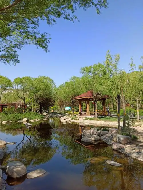 武清文化公园掠影(手机拍)