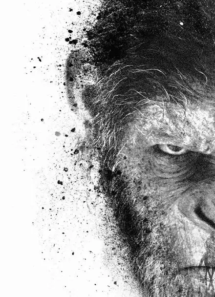 猩球崛起—猩猩的成长之路