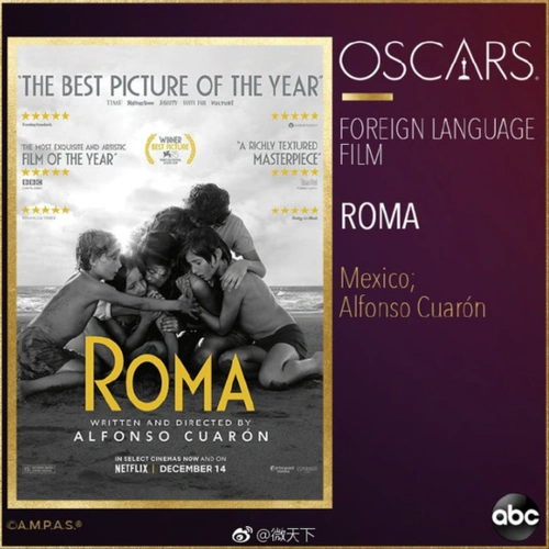netflix电影罗马获奥斯卡最佳外语片奖