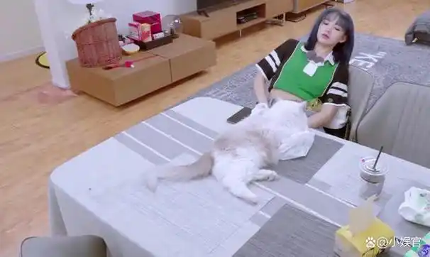 钱颜双全的程潇:独居上海豪宅,与猫共度无婚姻压力的自由生活