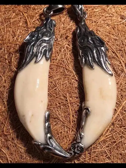 【大号】狼牙 2333元/一个!原生态, 最新款!抢疯了!