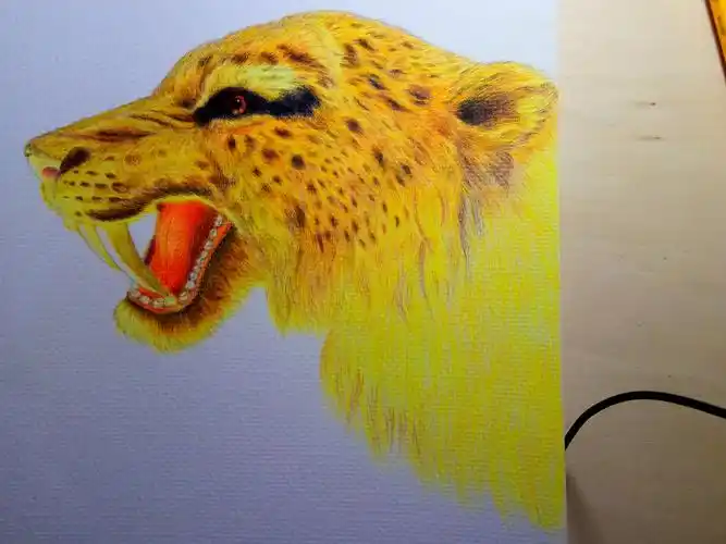 自学彩铅手绘一剑齿虎