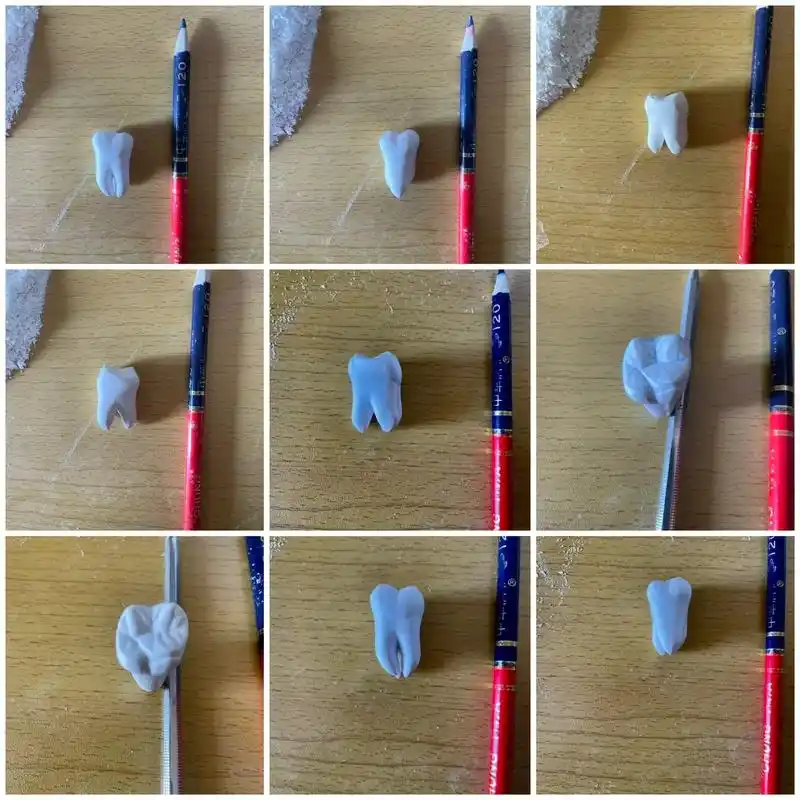 右上颌第一磨牙牙体雕刻(1.5倍)#雕牙 - 抖音