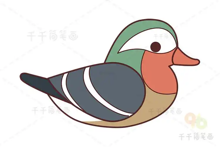 鸳鸯简笔画步骤教程