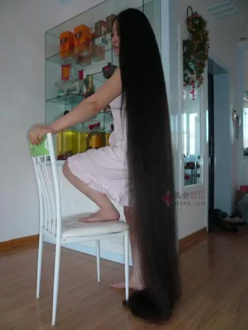 超长长发山菊花