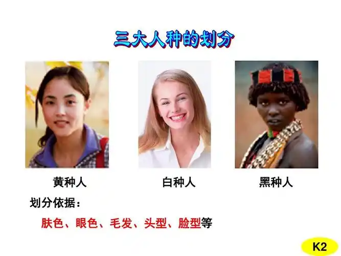 2世界的人种 课件 (共14张ppt)