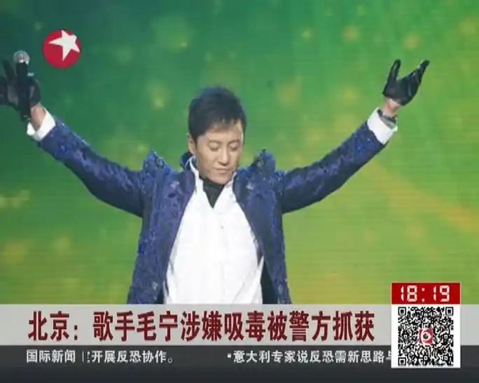 歌手毛宁涉嫌吸毒被警方抓获