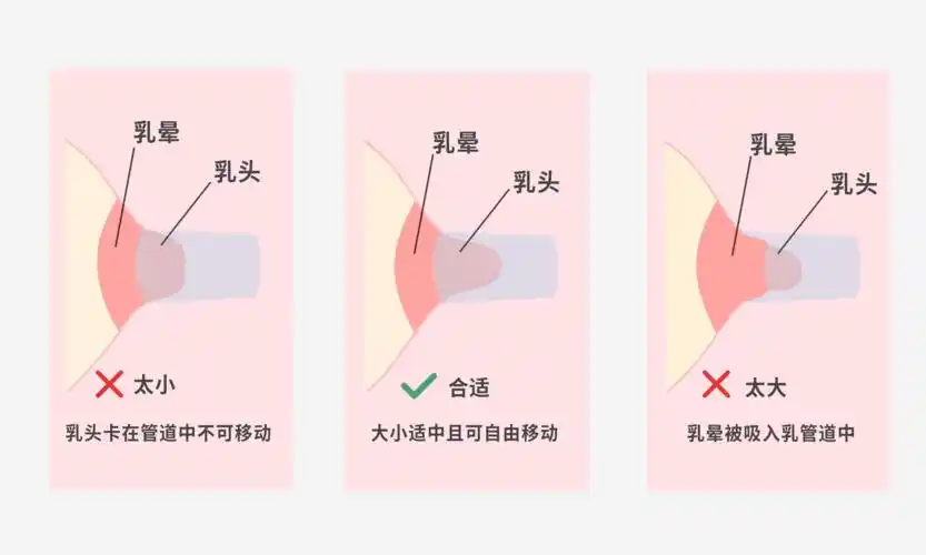 详解挤奶的正确姿势哺乳妈妈一定要看