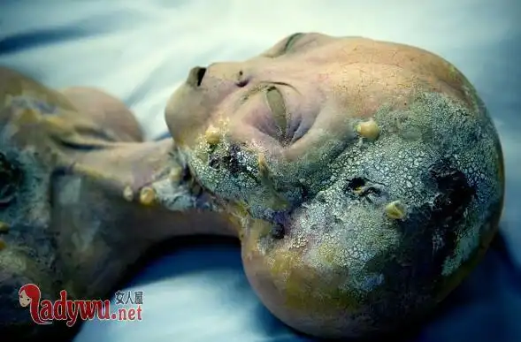 为什么外星人躲着人类藏在哪里