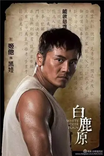 电视剧白鹿原