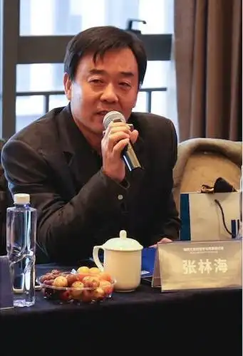 在"文丰文化"单元,文丰所荣誉主任,省社科院法学研究所所长张林海先生