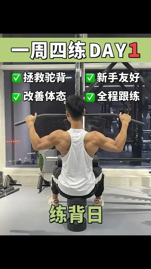 新手入门73健身房一周四练day175练背日