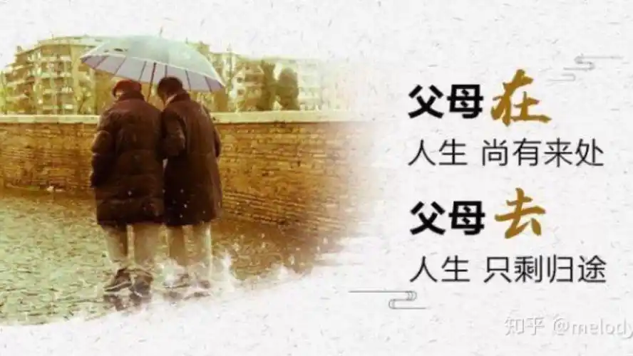"父母在,人生尚有来处,父母去,人生只剩归途"你怎么理解这句话?