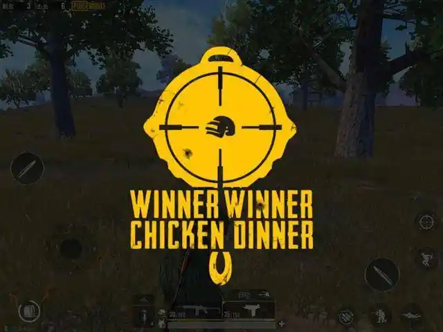 刺激战场国际服该怎么玩_手机搜狐网