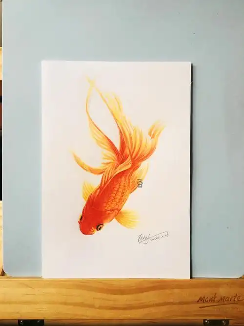 彩铅金鱼