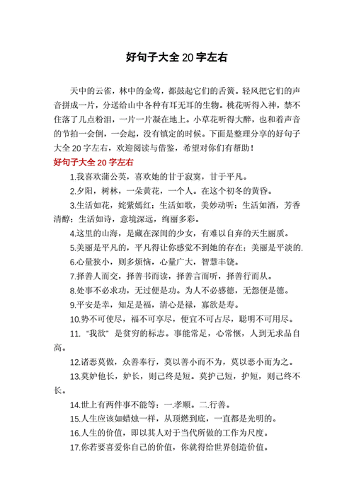 好句子大全20字左右.docx 4页