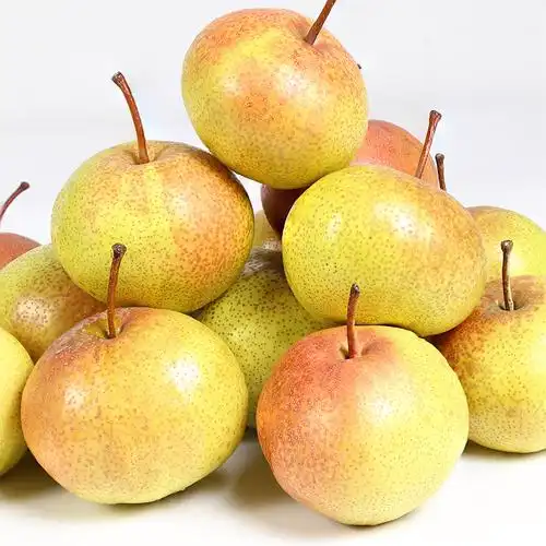 【现摘现发~】延边苹果梨9斤(热品库)