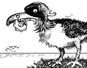 眼力测试世界上最神奇的50张图片你还相信你的眼睛吗