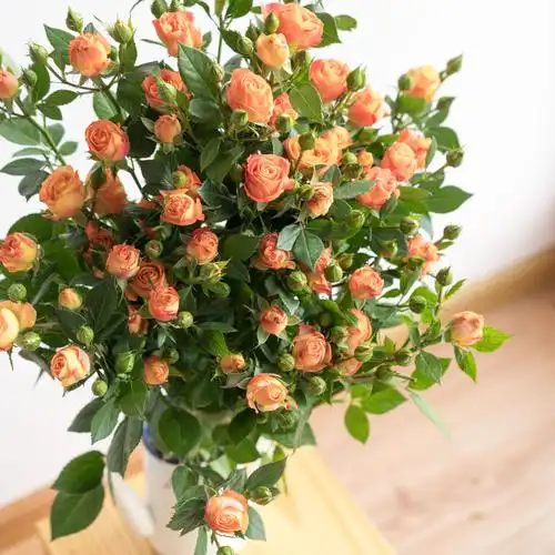 多头泡泡玫瑰蔷薇云南昆明基地鲜花狂欢折射巧克力蝴蝶家用插花束