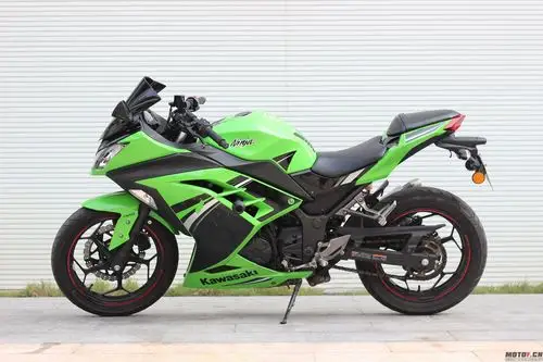 正规大贸14款川崎小忍者ninja250