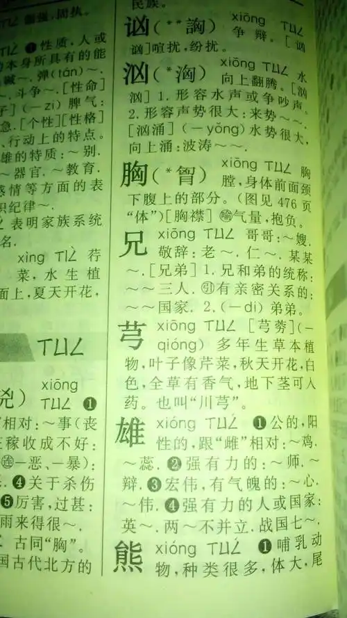 望字组词(望字组词造句一年级)